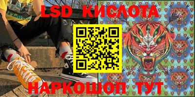 стафф Заводоуковск
