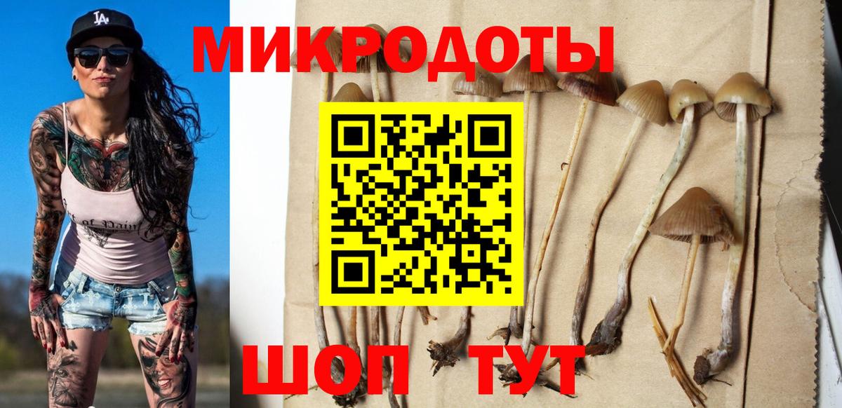 Галлюциногенные грибы MAGIC MUSHROOMS Мичуринск